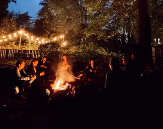 Cozy backyard summer evening: friends gathered around a glowing campfire beneath string lights and tall trees against a twilight sky.