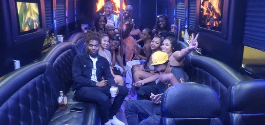 L3 Limo: Premier Party Bus Rental Service in Tampa, FL image 10