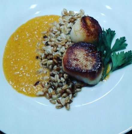 Golden seared scallops atop creamy carrot purée with nutty pearl barley and parsley garnish on a white plate