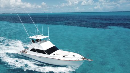 Private Sport Fishing Experience to Isla Mujeres (55ft Boat + Drinks & Equipment) image