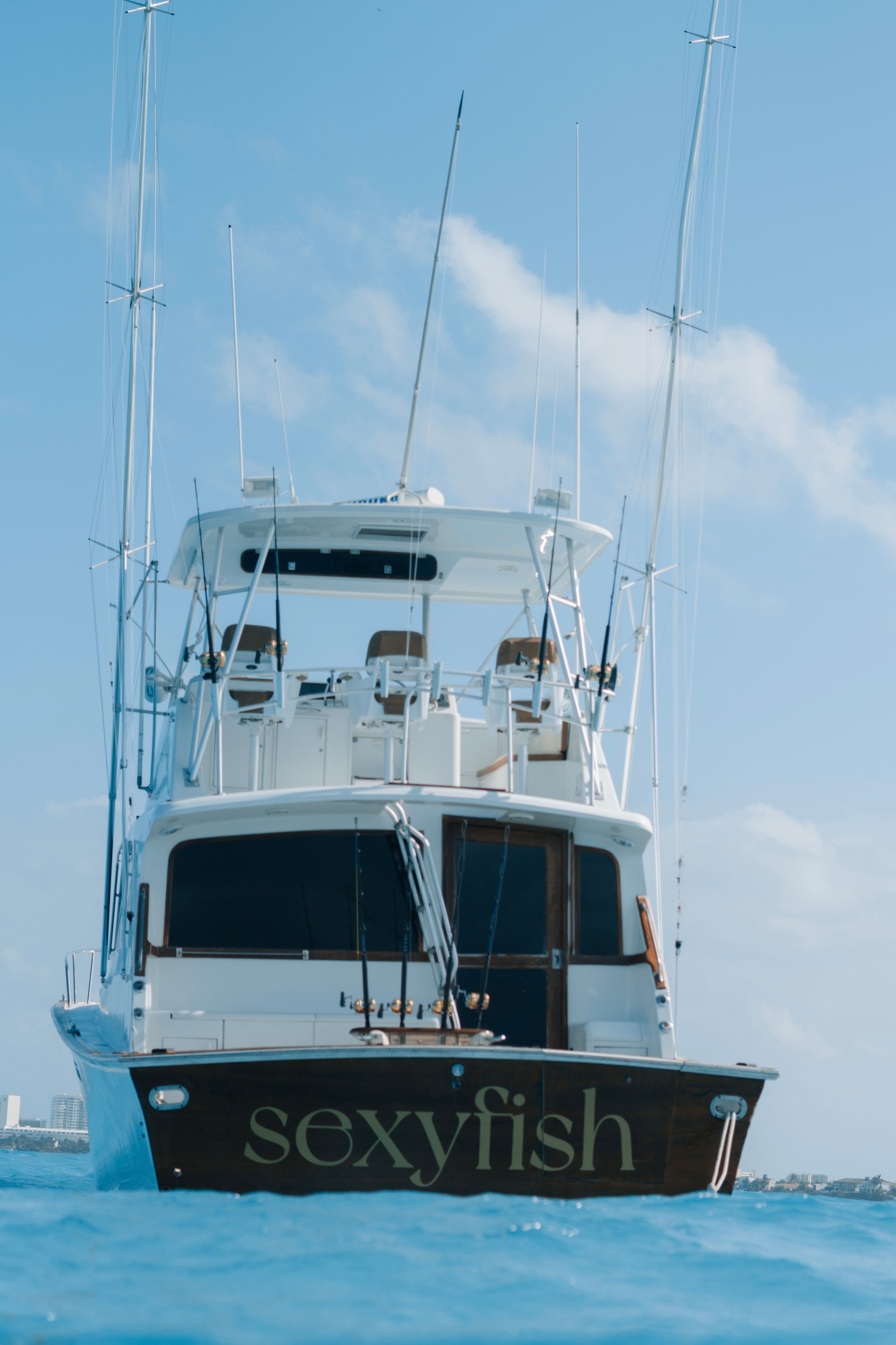 Private Sport Fishing Experience to Isla Mujeres (55ft Boat + Drinks & Equipment) image 4
