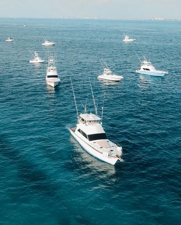 Private Sport Fishing Experience to Isla Mujeres (55ft Boat + Drinks & Equipment) image 11
