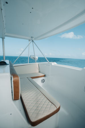 Private Sport Fishing Experience to Isla Mujeres (55ft Boat + Drinks & Equipment) image 6