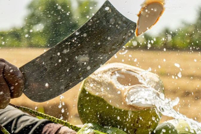 Close-up of a machete slicing open a green coconut with fresh coconut water spraying into sunlight against a blurred tropical field