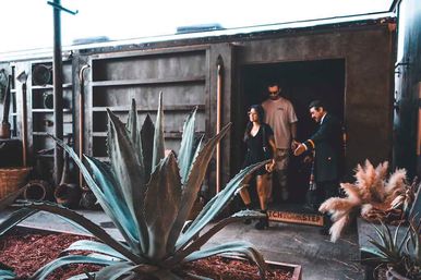 Large agave plant in the foreground of an industrial storefront entrance, two guests stepping out as a host gestures, with pampas grass and rustic planters in an urban courtyard.