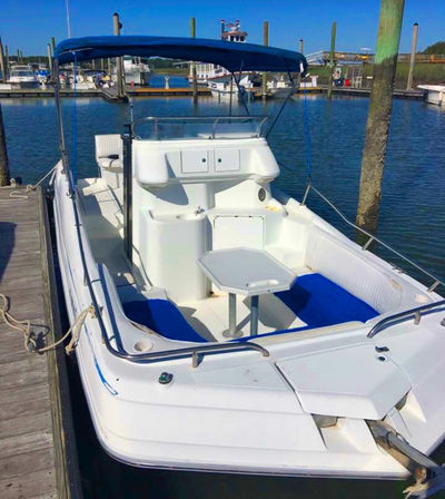 Sunlit white deck boat with a blue Bimini top, cushioned seating and small table tied at a wooden marina dock on calm harbor water under a clear blue sky.