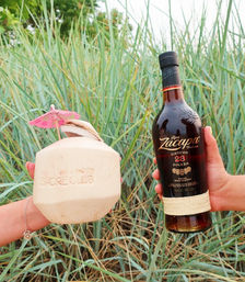 Two hands holding a fresh coconut drink with a pink cocktail umbrella and a dark rum bottle wrapped in a woven band, set against tall beach grasses for a tropical, carefree vibe.