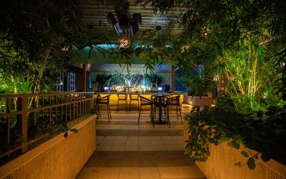 Cozy urban rooftop bar at night — illuminated outdoor bar with high stools and tables framed by lush tropical plants and bamboo, warm ambient lighting on tiled terrace