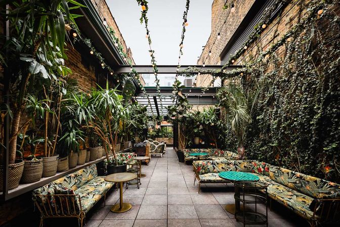 Cozy urban courtyard patio with tropical potted plants, ivy-covered brick walls, patterned lounge sofas and small round tables under string lights