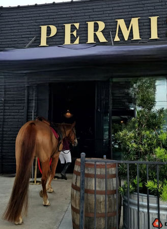 Chestnut horse being led into a black‑brick storefront under a large gold sign, rider in white breeches and riding boots, with a wooden barrel and potted greenery on the sidewalk.