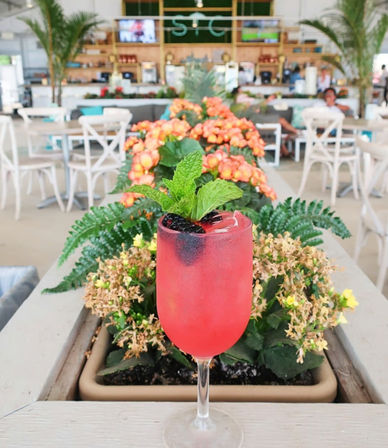 Bright pink blackberry cocktail in a stemmed glass topped with mint, set on a planter-lined outdoor café table with orange blooms and white patio chairs in the background.