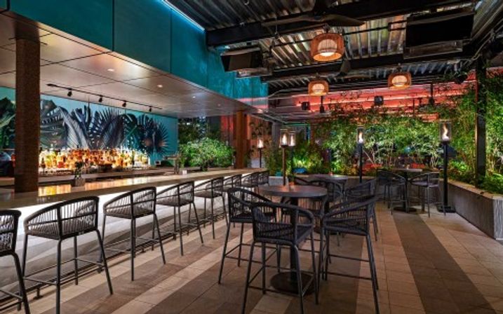 Vibrant rooftop outdoor bar and lounge at night with a long illuminated counter, woven bar stools, high-top tables, hanging pendant lights and lush green plant walls.