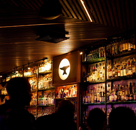 Dimly lit cocktail bar interior with backlit shelves of liquor bottles, warm wooden ceiling and silhouetted patrons — cozy urban nightlife scene.