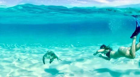 Snorkeler in fins gliding through clear turquoise tropical water above a sandy seabed alongside a swimming sea turtle.