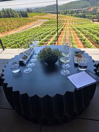 Outdoor winery terrace with a black scalloped tasting table set with multiple wine glasses, water, small appetizers and a succulent, overlooking sunlit rolling vineyard rows and hills.