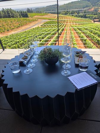 Outdoor winery terrace with a black scalloped tasting table set with multiple wine glasses, water, small appetizers and a succulent, overlooking sunlit rolling vineyard rows and hills.
