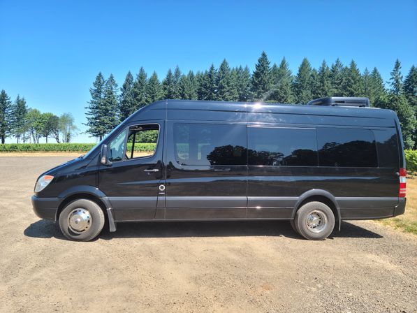 Black high-roof passenger van parked on a gravel lot with tinted-window reflections, rows of evergreen trees and a clear blue sky in the background.