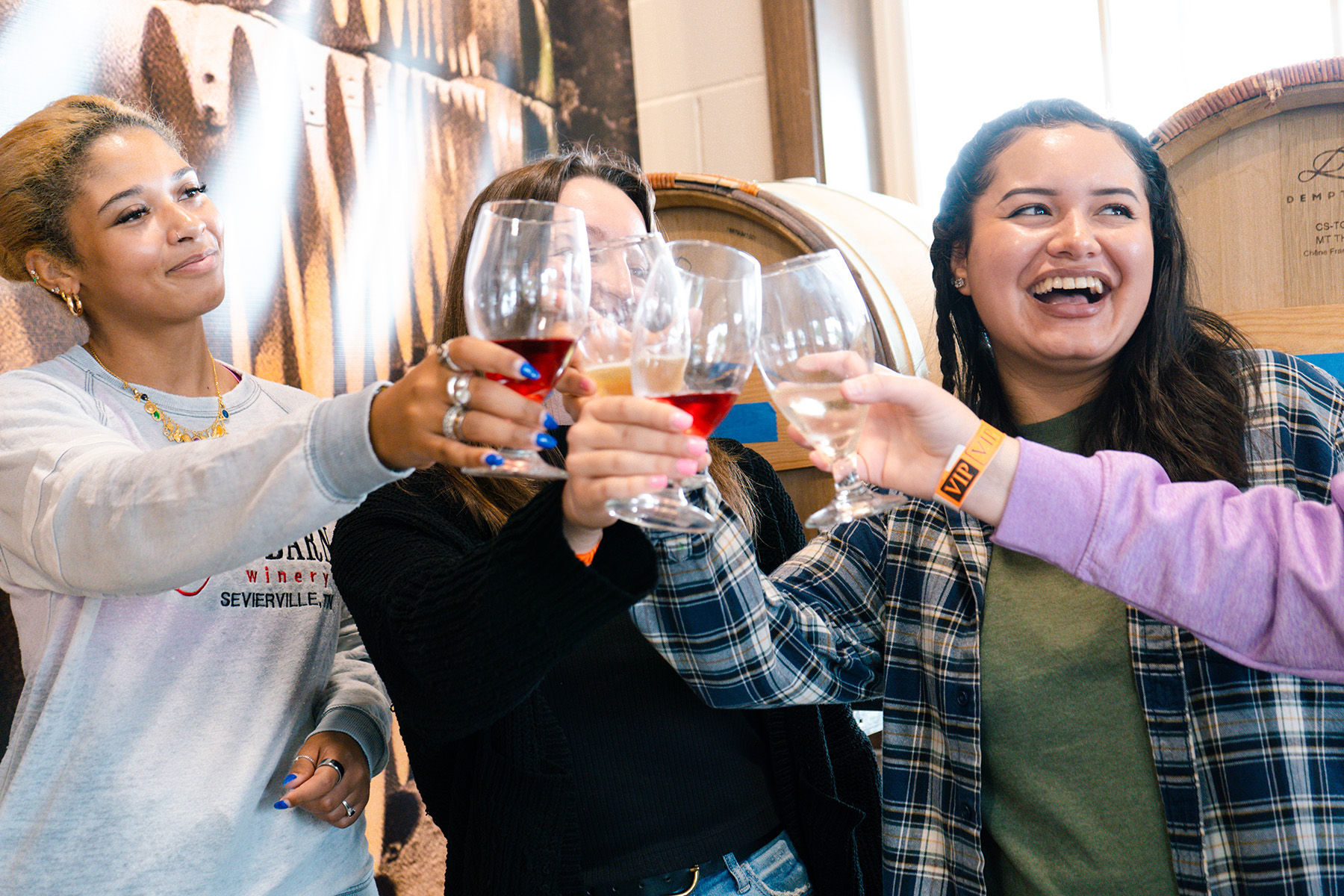 Smiling friends clink red and white wine glasses during a lively winery tasting, standing in front of oak barrels in a bright tasting room.