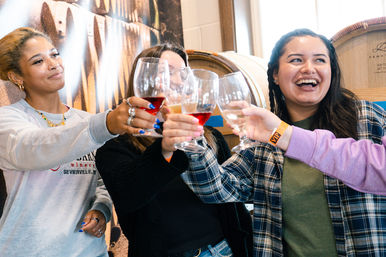 Smiling friends clink red and white wine glasses during a lively winery tasting, standing in front of oak barrels in a bright tasting room.