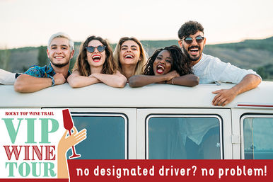 Five friends laughing and leaning out of a vintage van on a sunny wine-country road trip, ad-style banner promoting a VIP wine tour and no designated driver needed.