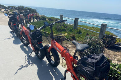 Bright orange electric bikes lined up along a sunny seaside bike path, overlooking blue ocean waves, coastal vegetation and a wooden railing.