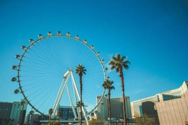 Giant observation wheel rising above a sunny urban skyline with tall palm trees and a clear blue sky