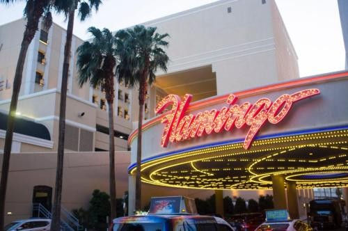 Dusk scene of a retro neon pink marquee and glowing canopy at a Las Vegas hotel entrance, tall palm trees and taxis in the foreground.