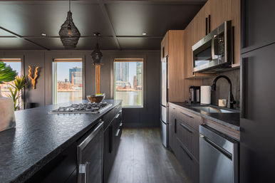 Luxury Houseboat - Rooftop - Inner Harbor Skyline Views image 8
