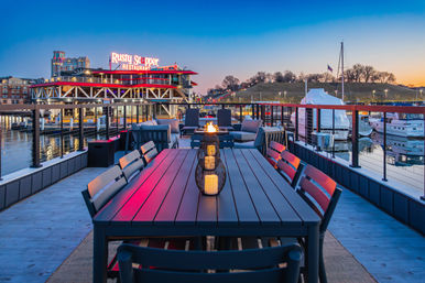 Luxury Houseboat - Rooftop - Inner Harbor Skyline Views image 13