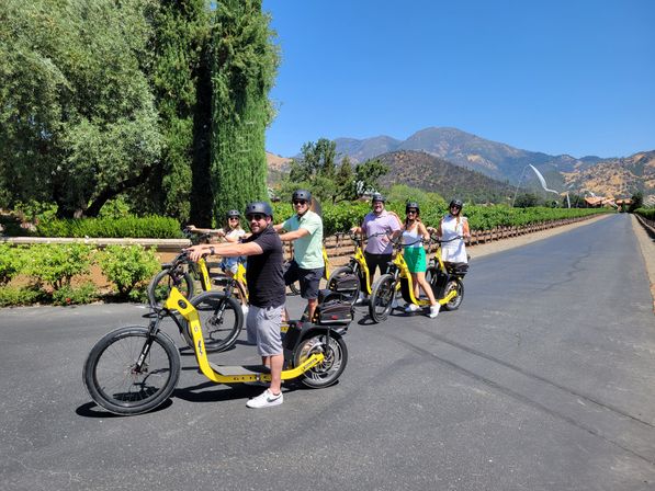 Six adults on yellow electric scooters paused on a sunny vineyard road, grapevines lining the lane and mountains under a clear blue sky.