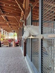 White horse peeking from a metal-bar stall into a sunlit wooden ranch stable aisle with string lights, lounge seating, and a brick-paved walkway
