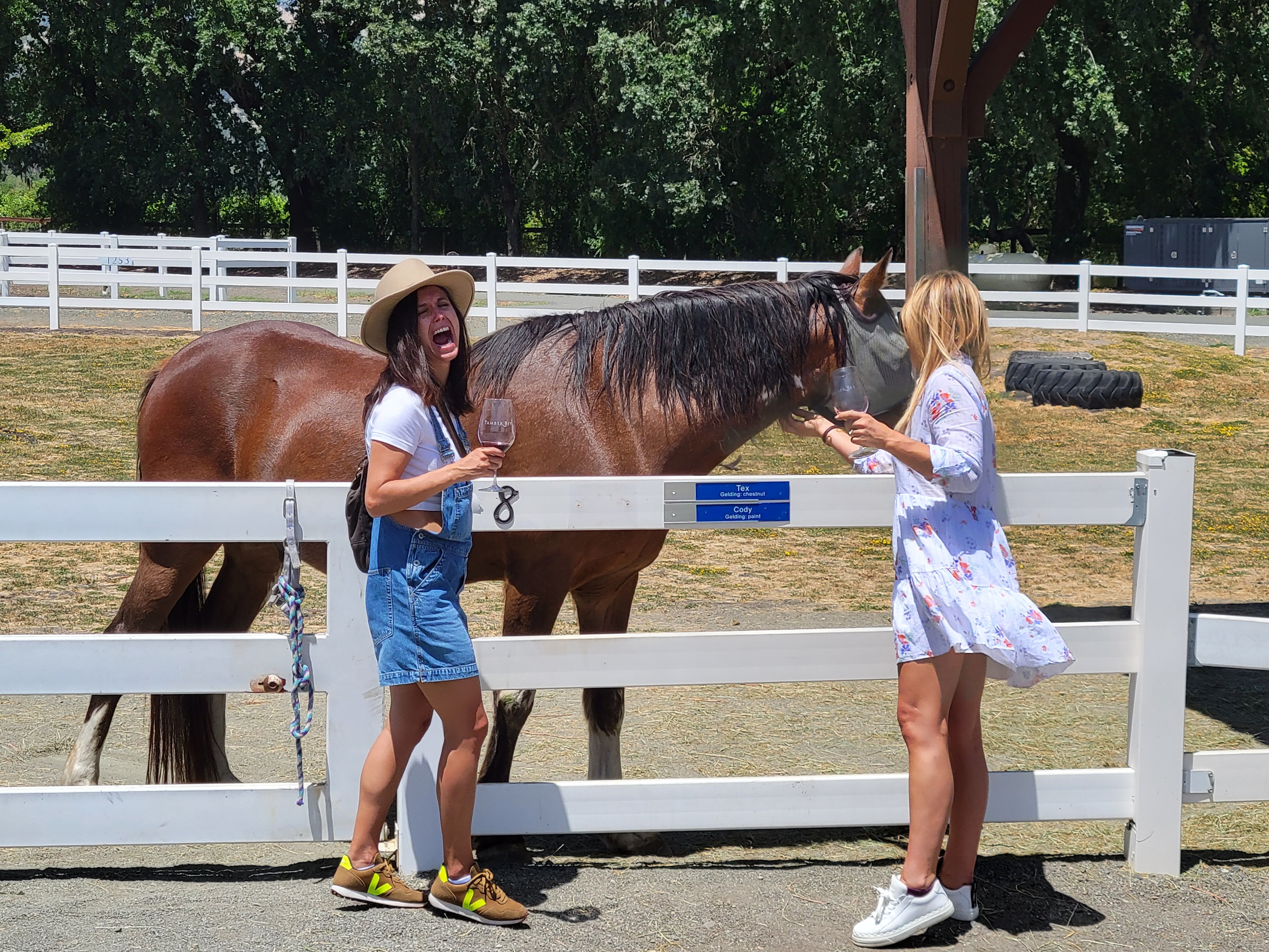 Two people enjoying outdoor wine tasting, laughing and petting a brown horse over a white paddock fence at a sunny horse ranch.