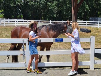 Two people enjoying outdoor wine tasting, laughing and petting a brown horse over a white paddock fence at a sunny horse ranch.