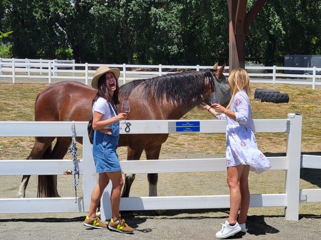Two women with wine glasses interact with a brown horse at a sunlit white-fenced paddock — one in denim overalls and a hat laughing, the other in a floral dress offering a treat, trees and farm gear in the background.