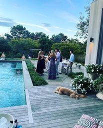 Summer evening poolside gathering on a modern backyard deck — a group of adults chatting beside a rectangular pool with lanterns and potted white flowers, and a fluffy dog lounging in the foreground.