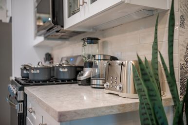 Bright modern kitchen countertop with stainless-steel toaster, glass blender, pots on a gas stove, white subway tile backsplash and a tall snake plant in the foreground.