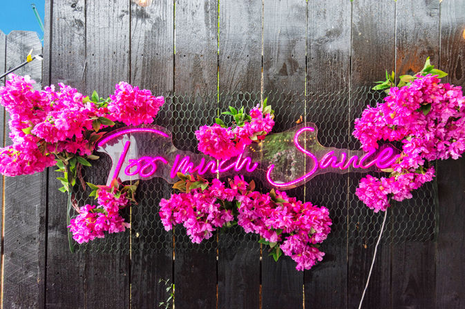 Neon pink script sign reading 'Too Much Sauce' surrounded by clusters of bright pink blossoms on a dark wooden fence with chicken-wire — playful outdoor patio decor.