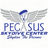 Pegasus Skydive Center
