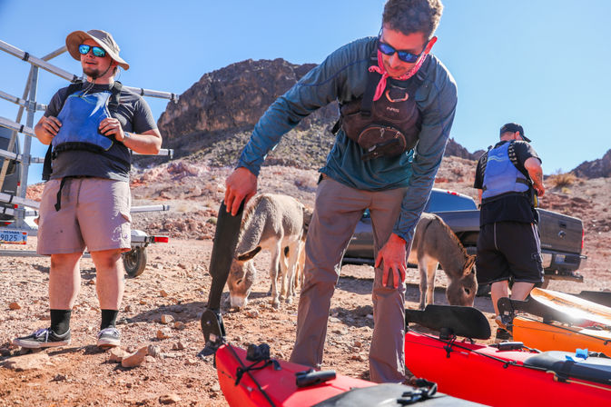 Three people in life jackets prep red kayaks on a sunbaked red‑rock canyon shore while curious donkeys graze nearby