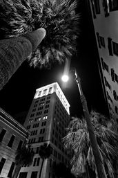 Black-and-white night shot looking up at a historic downtown high-rise framed by towering palm trees and a glowing streetlight, dramatic urban streetscape.