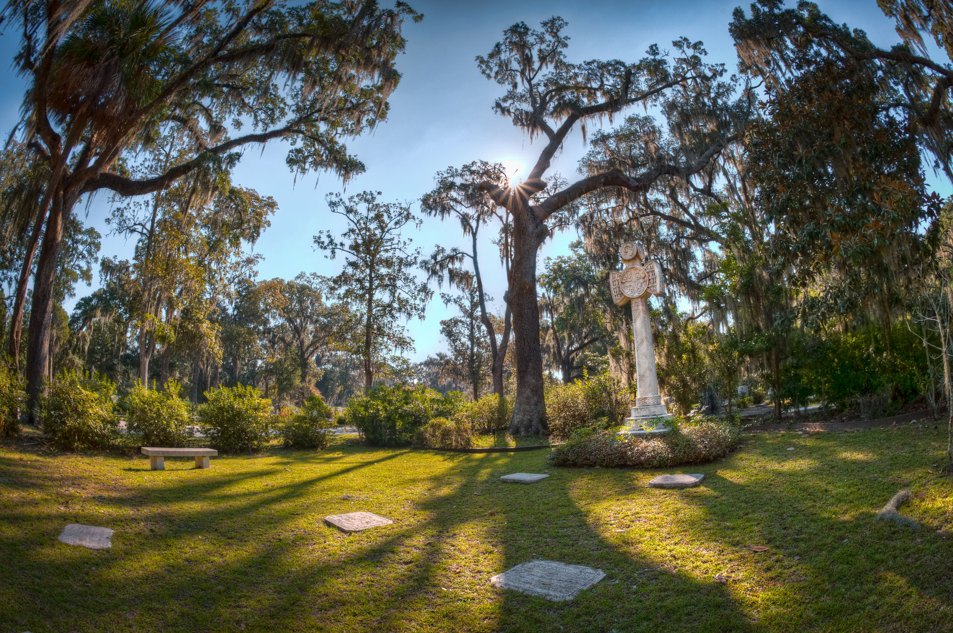 Sunlit historic cemetery in a southern live-oak grove draped with Spanish moss, featuring a carved Celtic cross monument, flat grave markers and a bench casting long shadows.