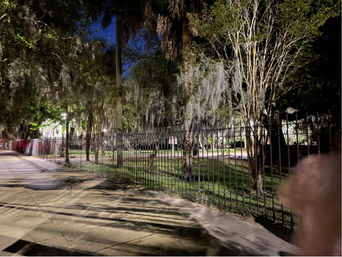 Nighttime sidewalk beside a wrought-iron fence bordering a park with Spanish-moss-draped oak and palm trees, illuminated by streetlights casting long shadows on the pavement.