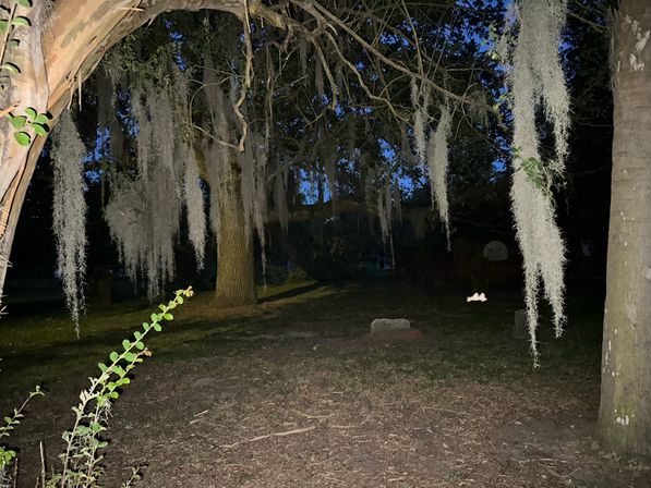 Dusk scene of a large oak draped in Spanish moss over a quiet Southern U.S. cemetery with low headstones and a leaf-strewn ground.