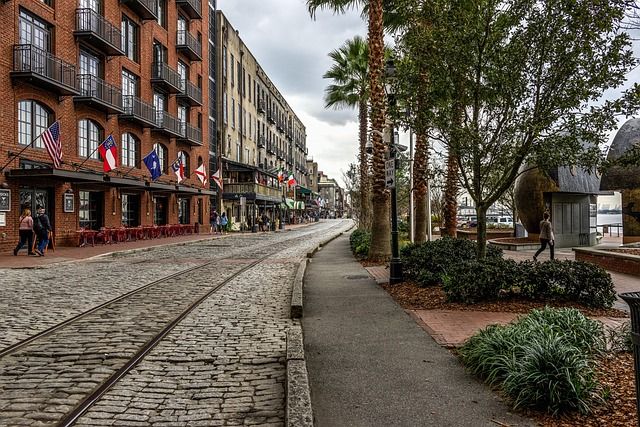 Cobblestone street with tram rails curving past red-brick buildings flying flags, with palm trees and a tree-lined waterfront promenade and pedestrians under an overcast sky