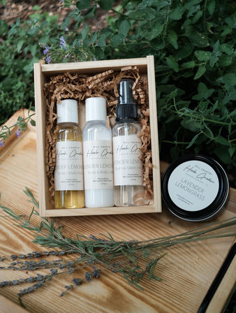 Mini gift set in a wooden box with three travel-size lavender-lemongrass bottles nestled in crinkle paper, a round matching tin, and dried lavender sprigs on a wooden table surrounded by green herbs.