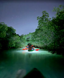 Night kayaking through a mangrove tunnel, paddlers with red paddles gliding over glowing bioluminescent-green water under a starry sky.