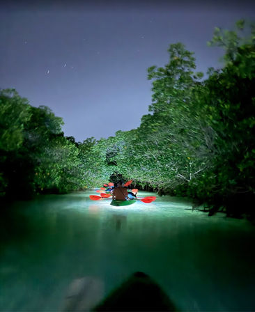 Night kayaking through a mangrove tunnel, paddlers with red paddles gliding over glowing bioluminescent-green water under a starry sky.