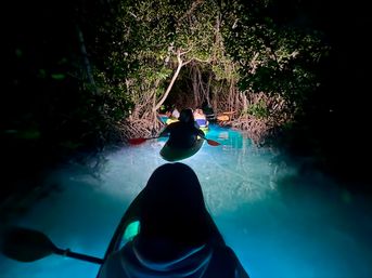 Luminous Lagoon, A Guided Night Kayak Adventure image 2