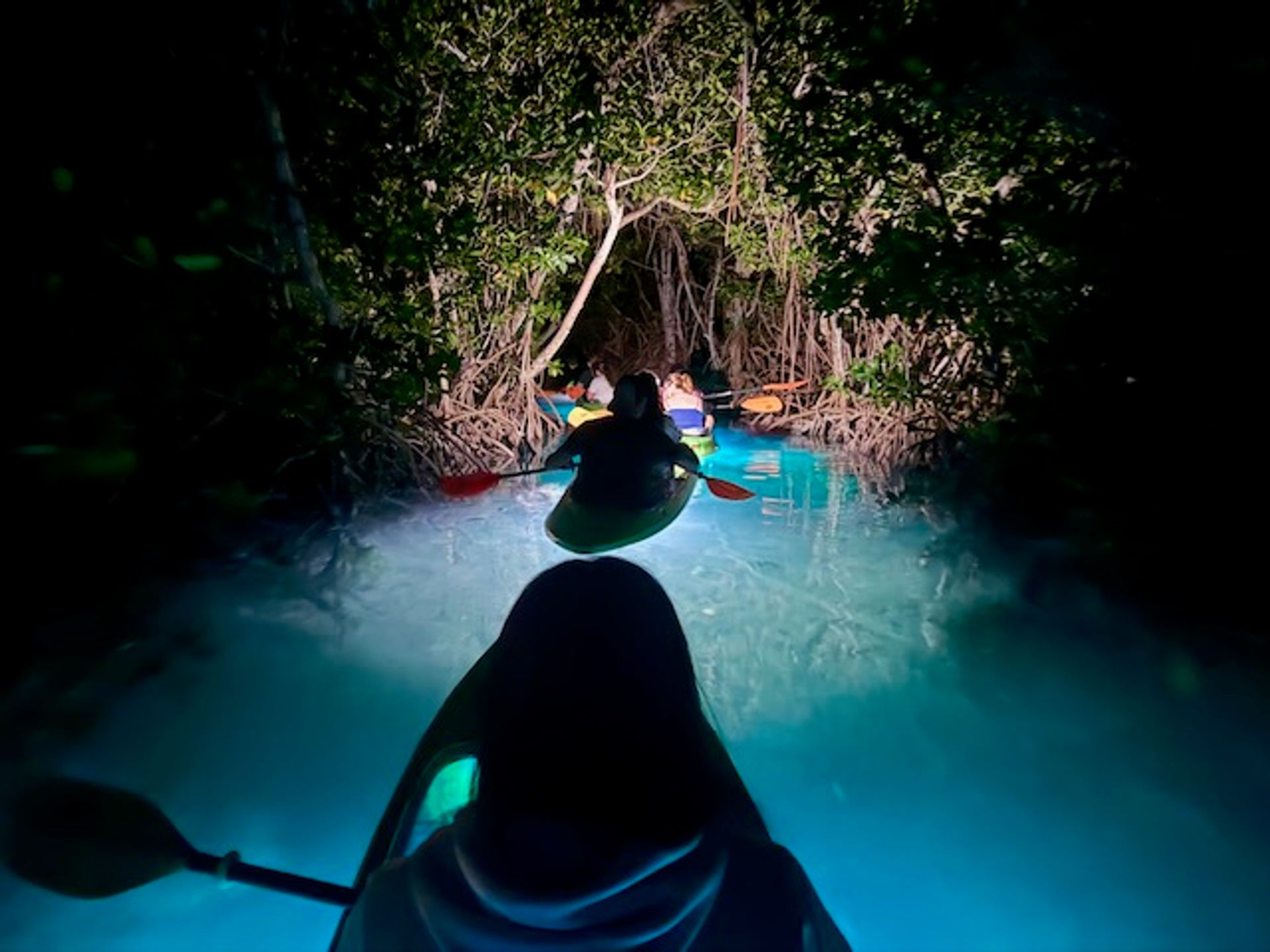 Luminous Lagoon, A Guided Night Kayak Adventure image 2