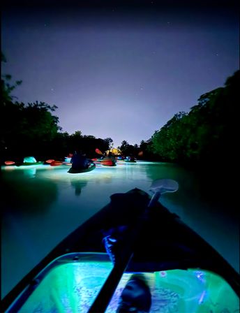 Luminous Lagoon, A Guided Night Kayak Adventure image 5
